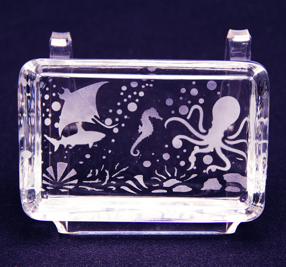 Glass Etching: General Bathroom Décor